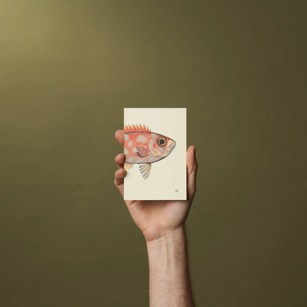 Notebook Refills x The Dybdahl Co. - Plain