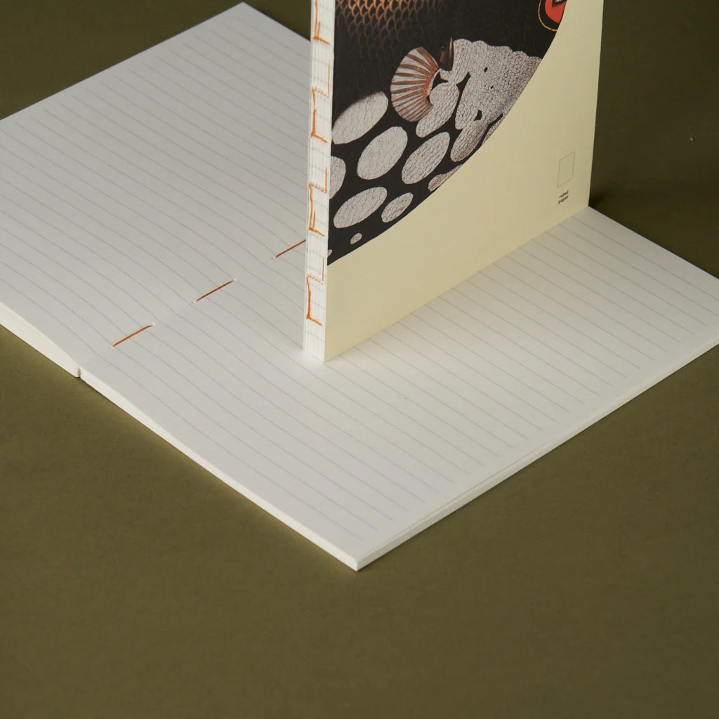 Notebook Refills x The Dybdahl Co. - Ruled