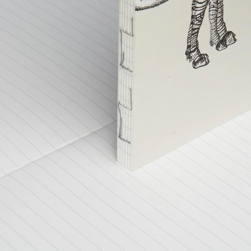 Animal - Notebook Refills x The Dybdahl Co. - Ruled