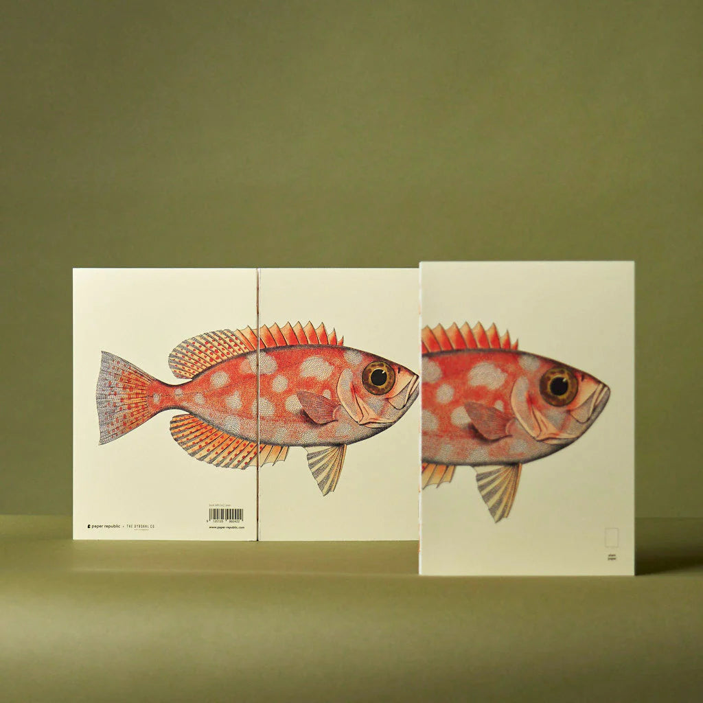 Notebook Refills x The Dybdahl Co. - Plain