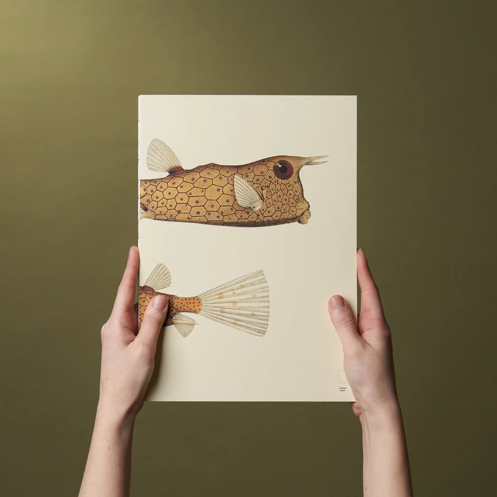 Reef- Notebook Refills x The Dybdahl Co. - Dotted