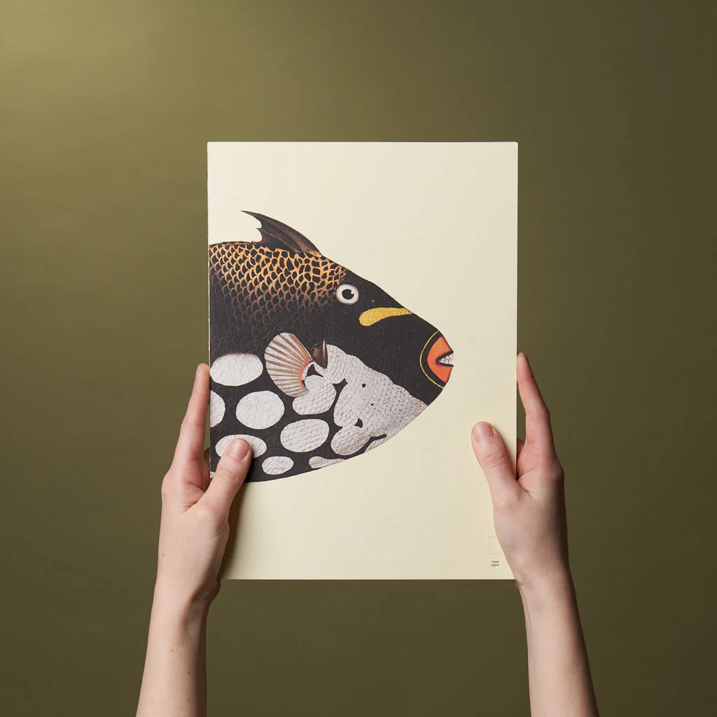 Reef- Notebook Refills x The Dybdahl Co. - Ruled