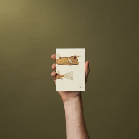 Notebook Refills x The Dybdahl Co. - Dotted