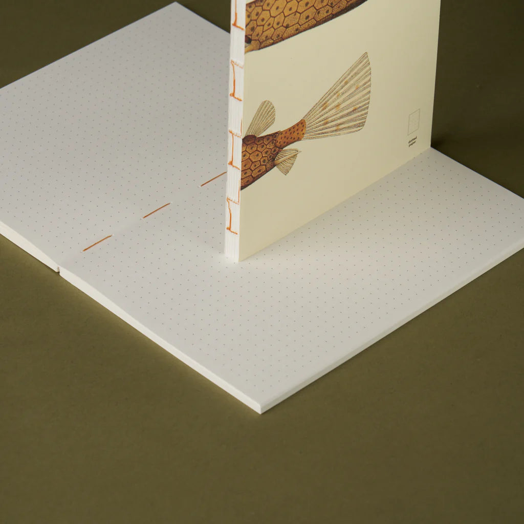 Notebook Refills x The Dybdahl Co. - Dotted