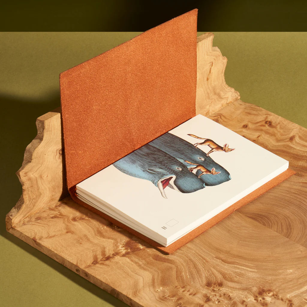 Animal - Notebook Refills x The Dybdahl Co. - Plain