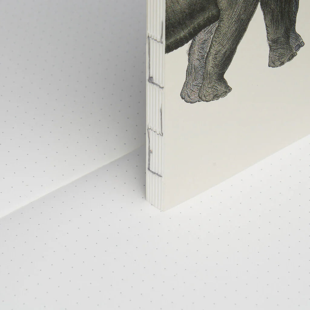 Animal - Notebook Refills x The Dybdahl Co. - Dotted
