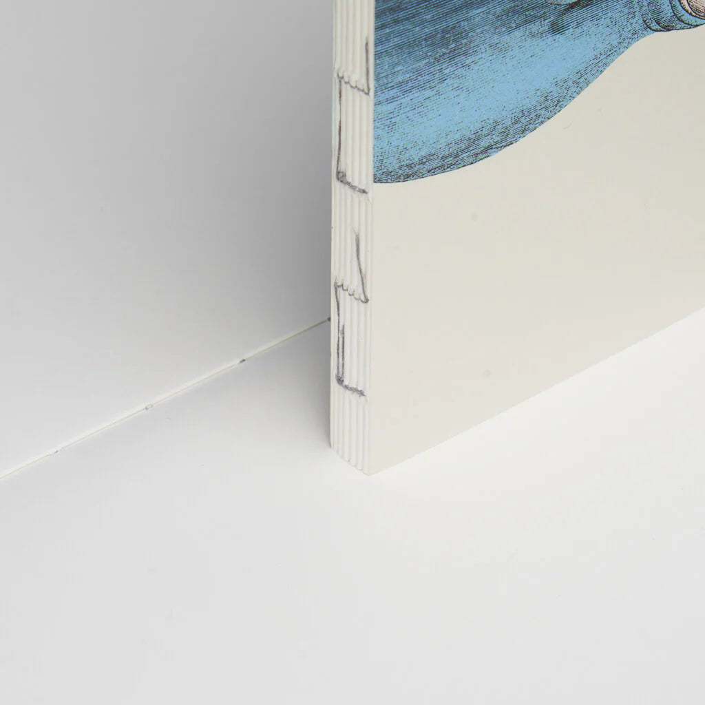 Animal - Notebook Refills x The Dybdahl Co. - Plain