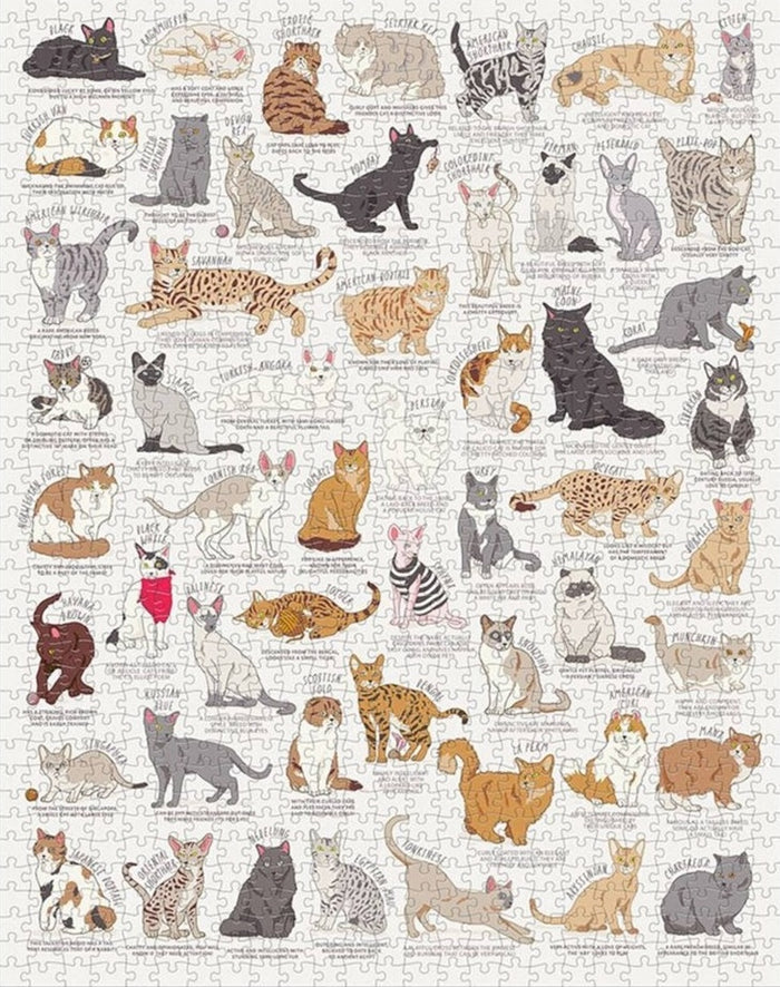 Cat Lover&#39;s - 1000 bita Púsl