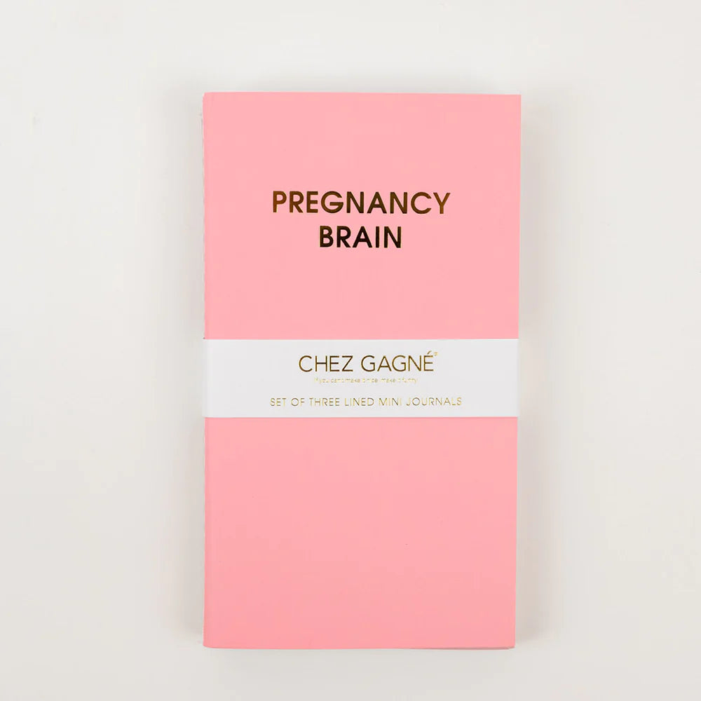 Mom Brain Mini Minnisbækur 3 stk