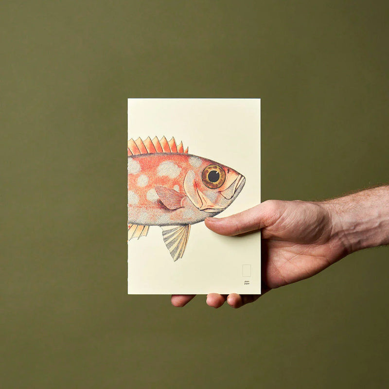 Reef - Notebook Refills x The Dybdahl Co. - Plain