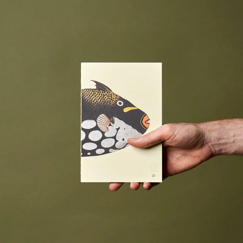 Reef- Notebook Refills x The Dybdahl Co. - Ruled