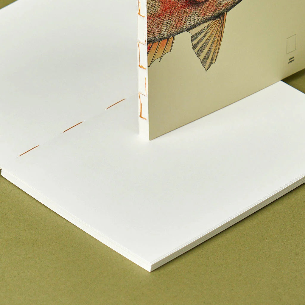 Notebook Refills x The Dybdahl Co. - Plain