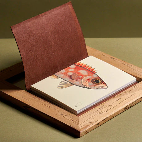 Notebook Refills x The Dybdahl Co. - Plain