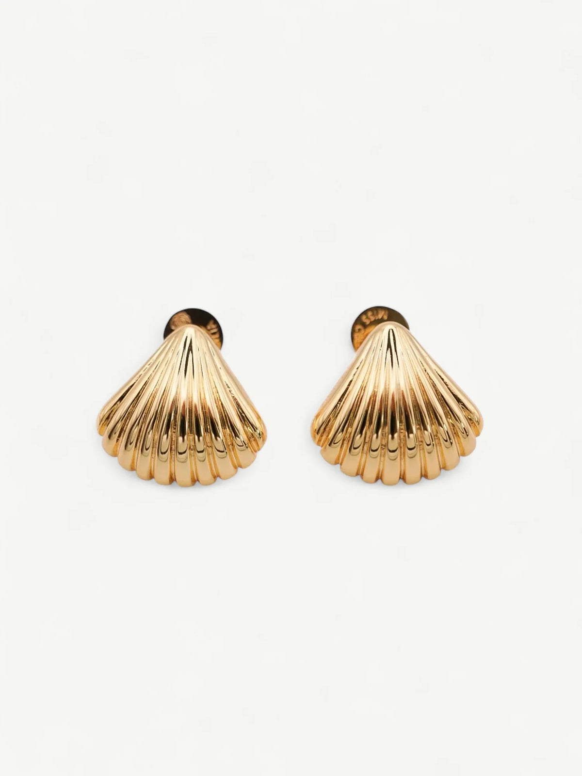 Shell Ear Studs Eyrnalokkar