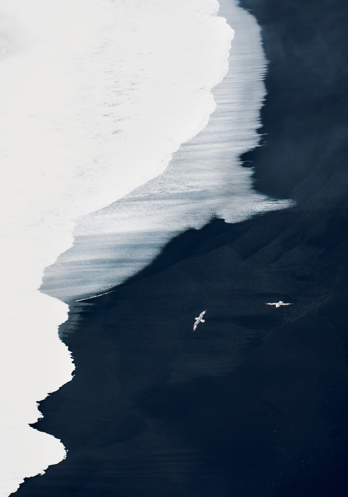 Par á Flugi - Ljósmynd 21x30 cm