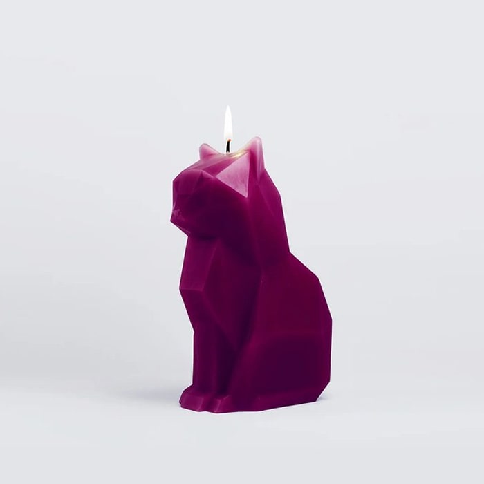PYROPET BOXIÐ